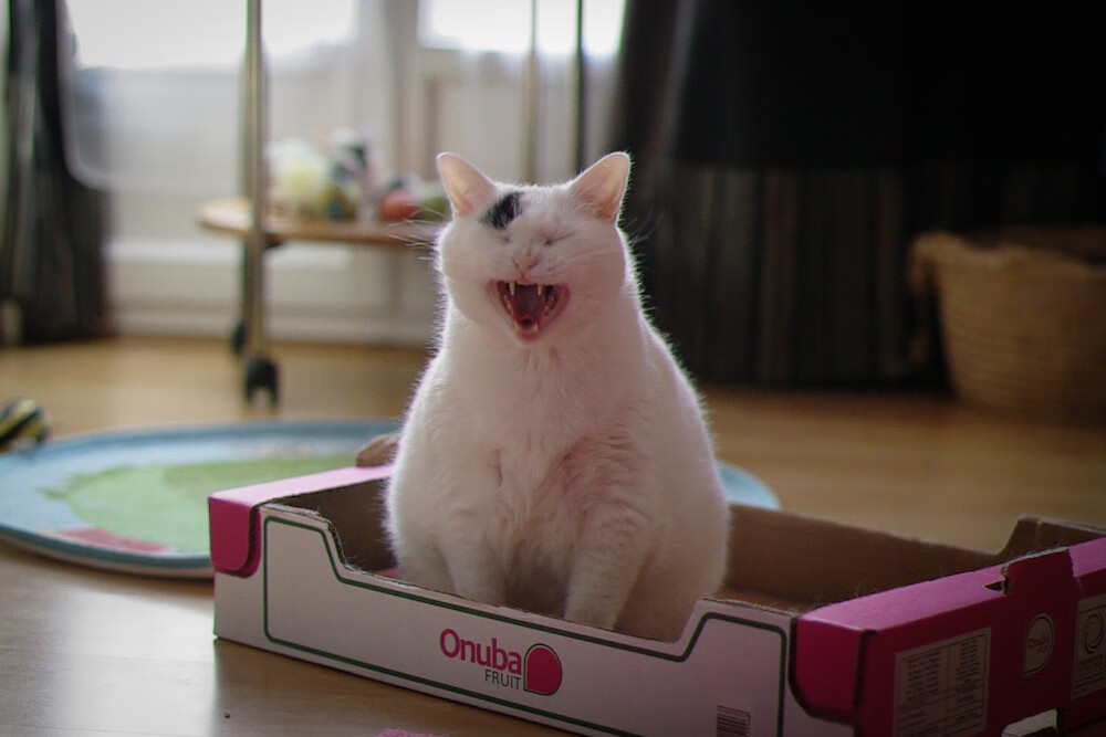 爱游戏登录入口-_传统体育文化节：弘扬民族体育精神_，弘扬中华民族传统体育文化