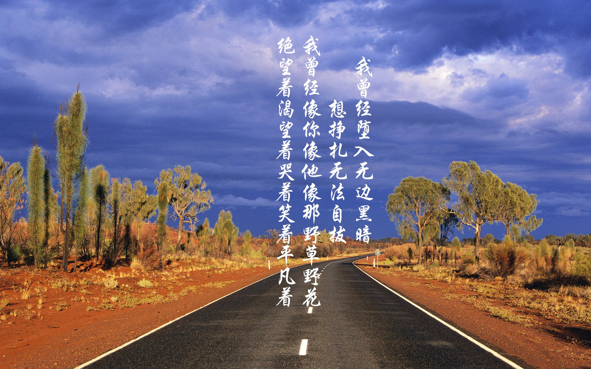 AYX SPORTS-_传统武术盛典：传承与创新的完美演绎_，2021传统武术比赛